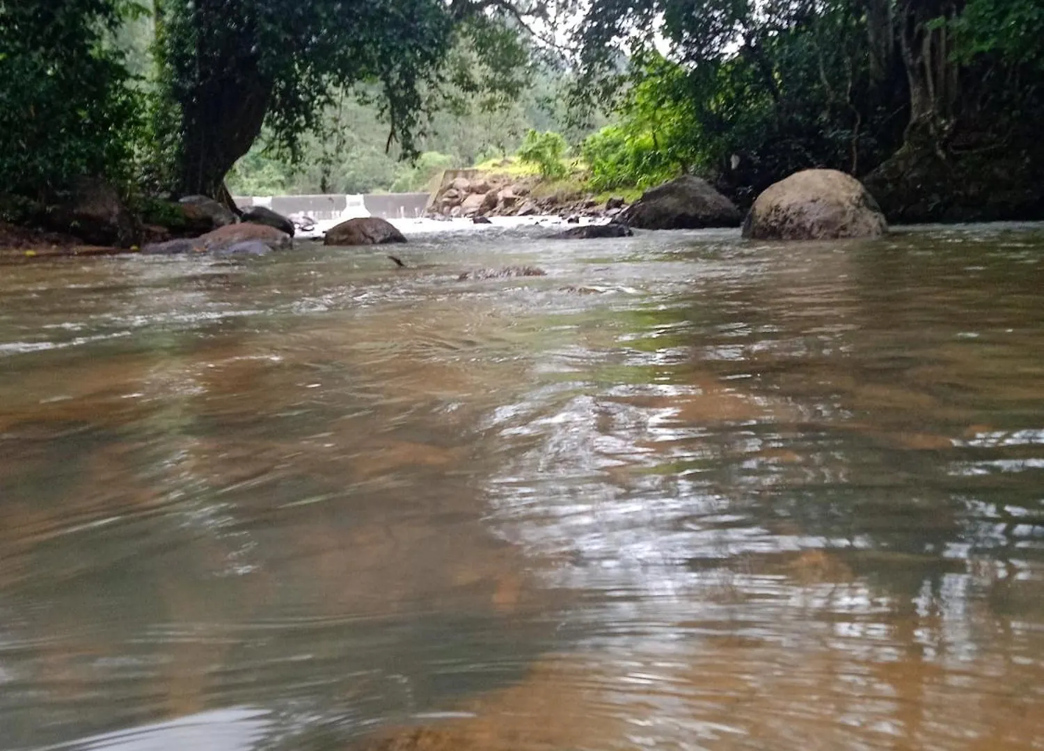 Moriah Berg Tourist Villa Vagamon Vandiperiyār